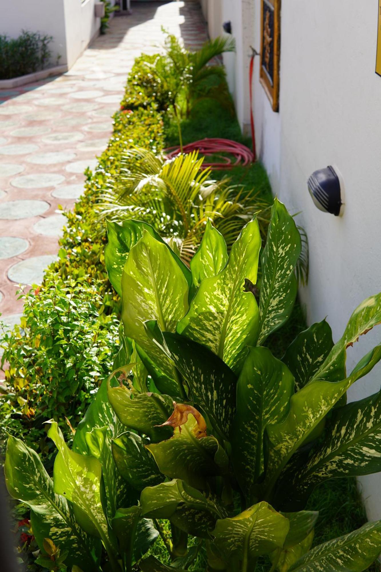Prestige Guesthouse ,Ksi Kumasi Exterior photo